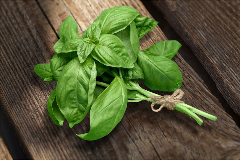 bundle of basil