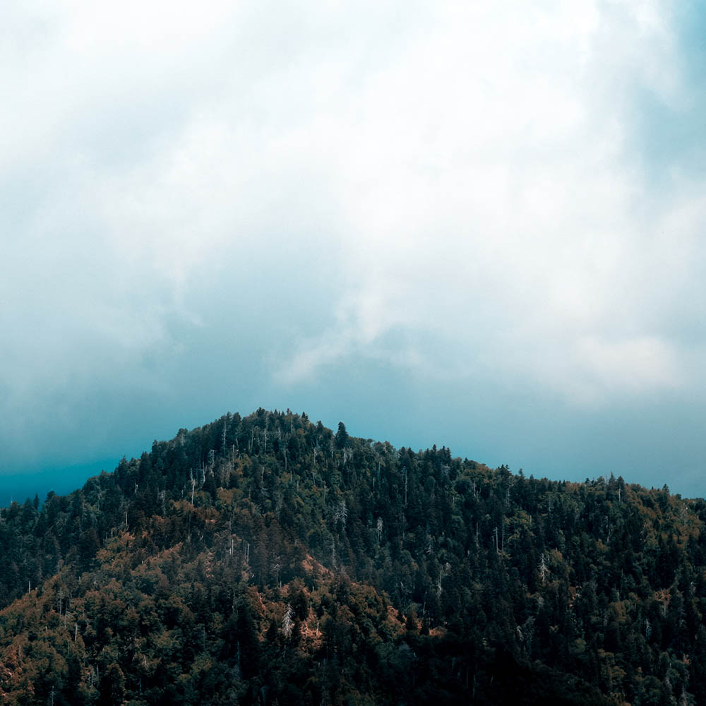 The Great Smoky Mountains