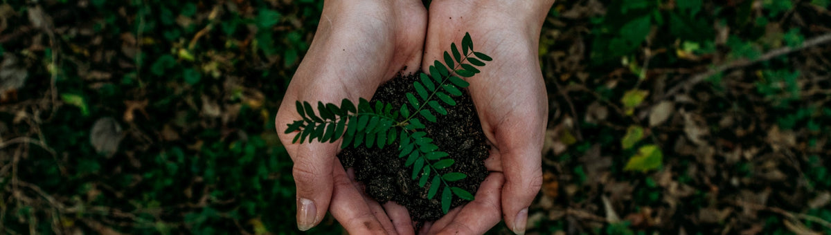 Earth Day Collection