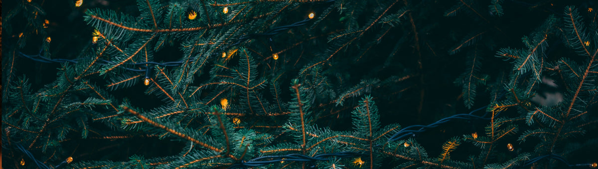 Holiday Collection