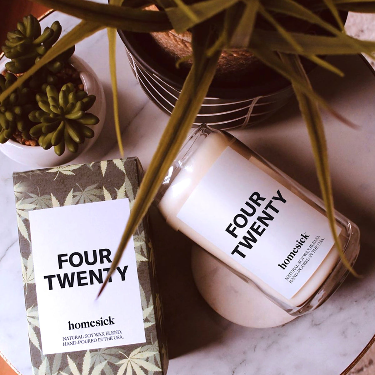 An overhead shot of the Four Twenty candle and succulents.
